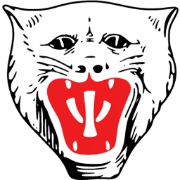 Vikersund IF II