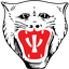 Vikersund IF II