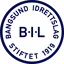 Bangsund IL
