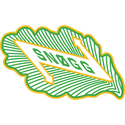 Snøgg Fotball