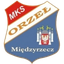 Orzeł Międzyrzecz