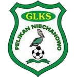 Pelikan Niechanowo
