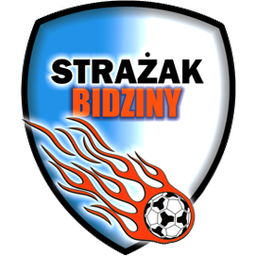 Strażak Bidziny