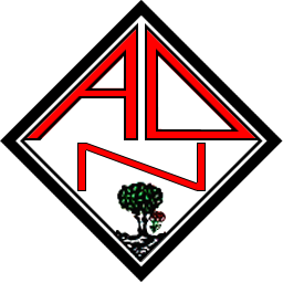 AD Nogueirense