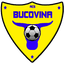Bucovina Radauti