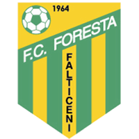 Foresta Falticeni