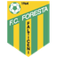Foresta Falticeni
