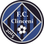 Academica Clinceni