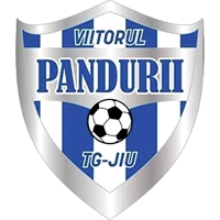 Viitorul Pandurii Targu Jiu