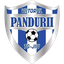 Viitorul Pandurii Targu Jiu