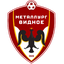 Metallurg Vidnoye