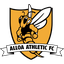Alloa Athletic Alloa Athletic