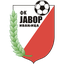 Javor Ivanjica
