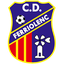 CD Ferriolense