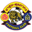 TTM Customs FC
