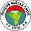 Batman Gercus Baglarspor