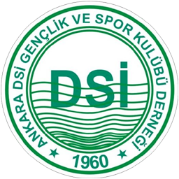 Ankara DSI Spor