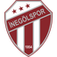 Inegölspor