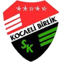 Kocaeli Birlikspor