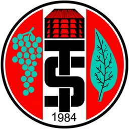 Turgutluspor