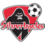 Atlanta Silverbacks