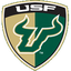 University of South Florida