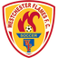 Westchester Flames