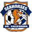 Southern California Seahorses