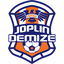 Joplin Demize