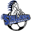 New Jersey Stallions