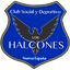 Deportivo Los Halcones