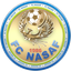 FC Nasaf