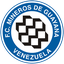 Mineros de Guayana