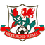 Aberbargoed Buds