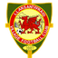 Llansantffraid Village FC