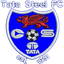 Tata Steel FC