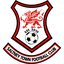 Saltney Town