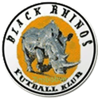 Black Rhinos