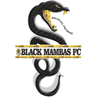 Black Mambas FC