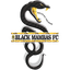 Black Mambas FC