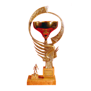 Bulgarian Super Cup 1989