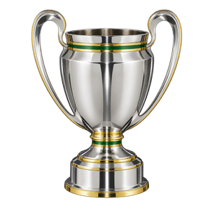 Copa do Brasil trophy since 2015