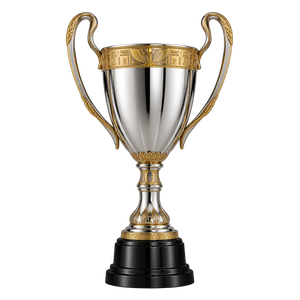 Egypt Cup trophy since 2016/17