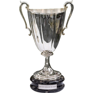 Europapokal der Pokalsieger