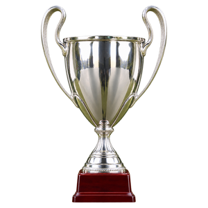 Andorranischer Pokal