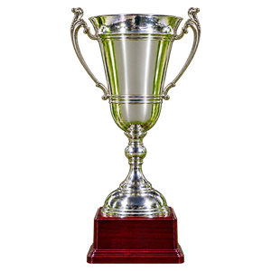 Andorranischer Supercup 2014