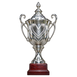 Belarusian Super Cup trophy, 2013