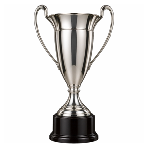 Bosnia and Herzegovina Cup trophy, since 2017–18