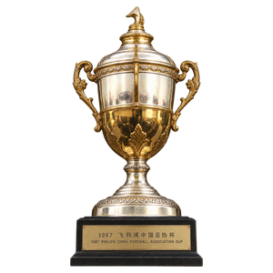 Chinese FA Cup (1997)