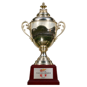 Chinese Super League Cup (2005)